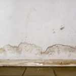 Drywall Repair in Walkertown, North Carolina