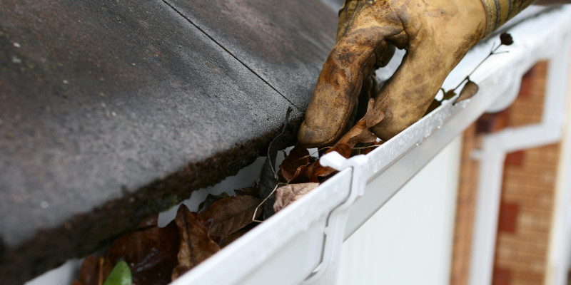 Gutter Cleaning in Walkertown, North Carolina