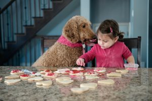 Get Your Home Ready for the Holidays with These Remodeling Services