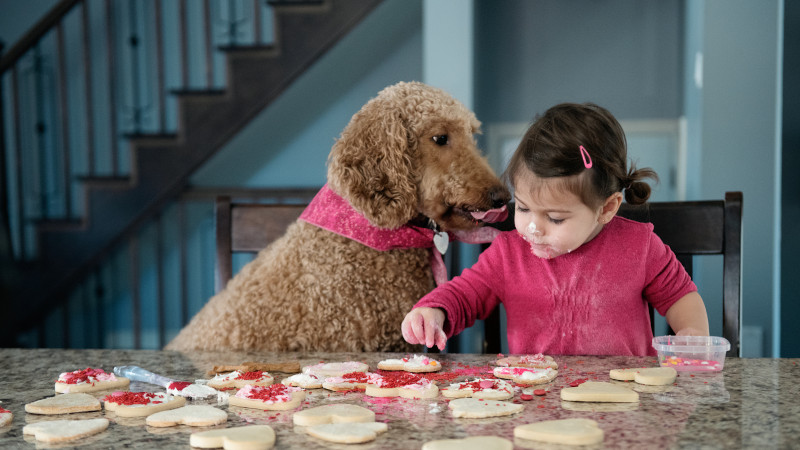 Get Your Home Ready for the Holidays with These Remodeling Services